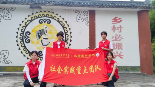 走进大杉坪，看见新气象：91网站
“众望”小组赴大杉坪村开展调研活动